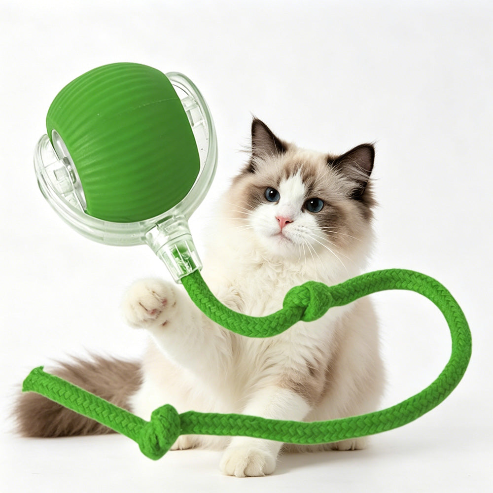 Self-Rolling Interactive Pet Ball