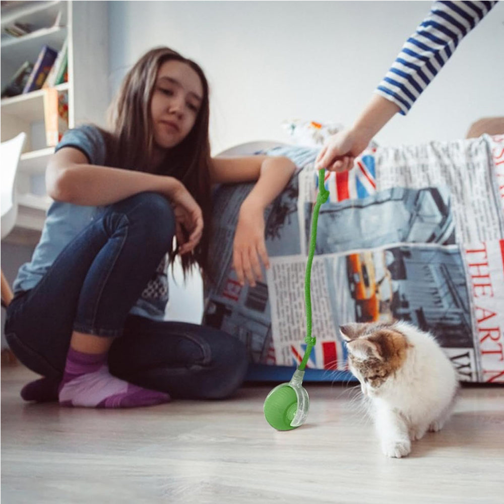 Self-Rolling Interactive Pet Ball