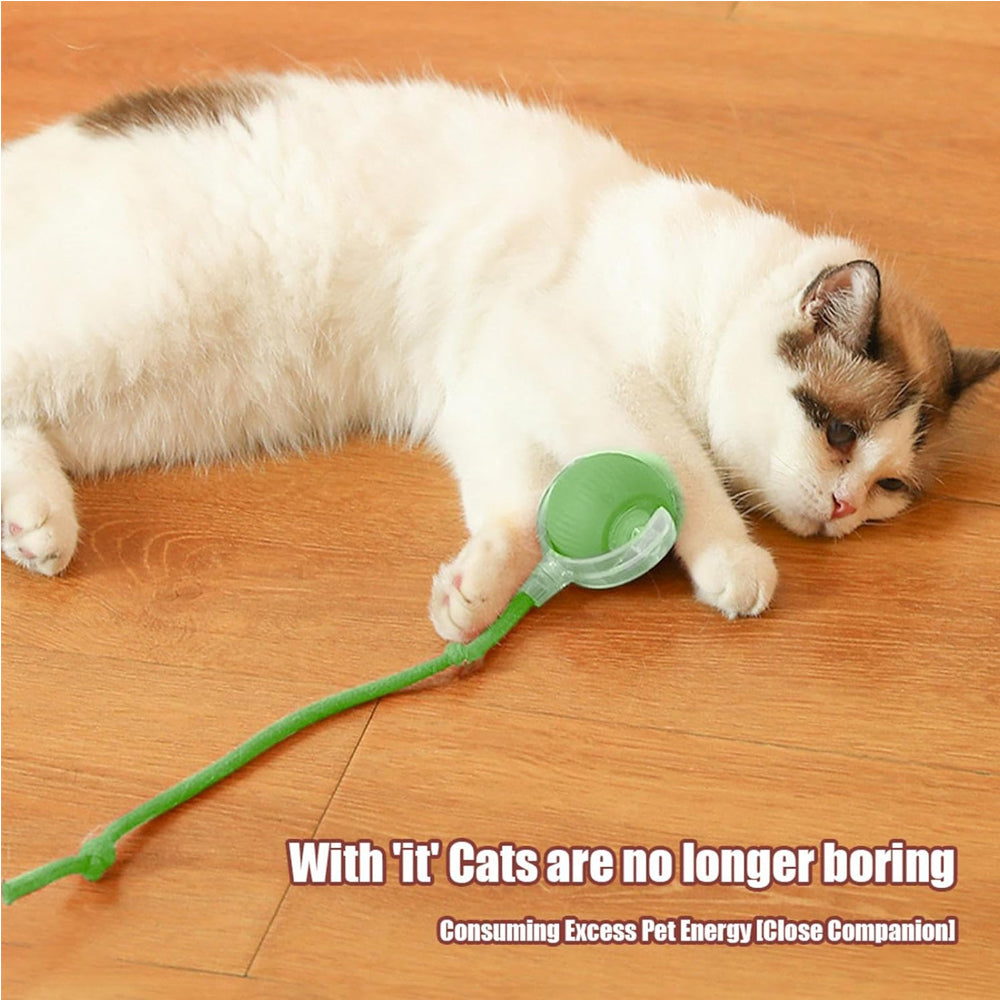 Self-Rolling Interactive Pet Ball