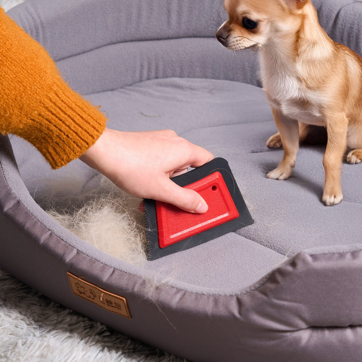 Reusable Couch & Carpet Pet Hair Remover