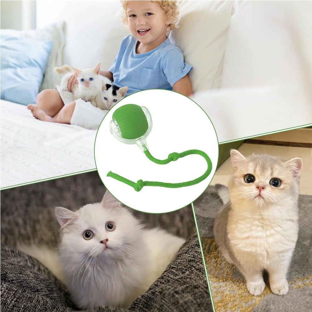 Self-Rolling Interactive Pet Ball