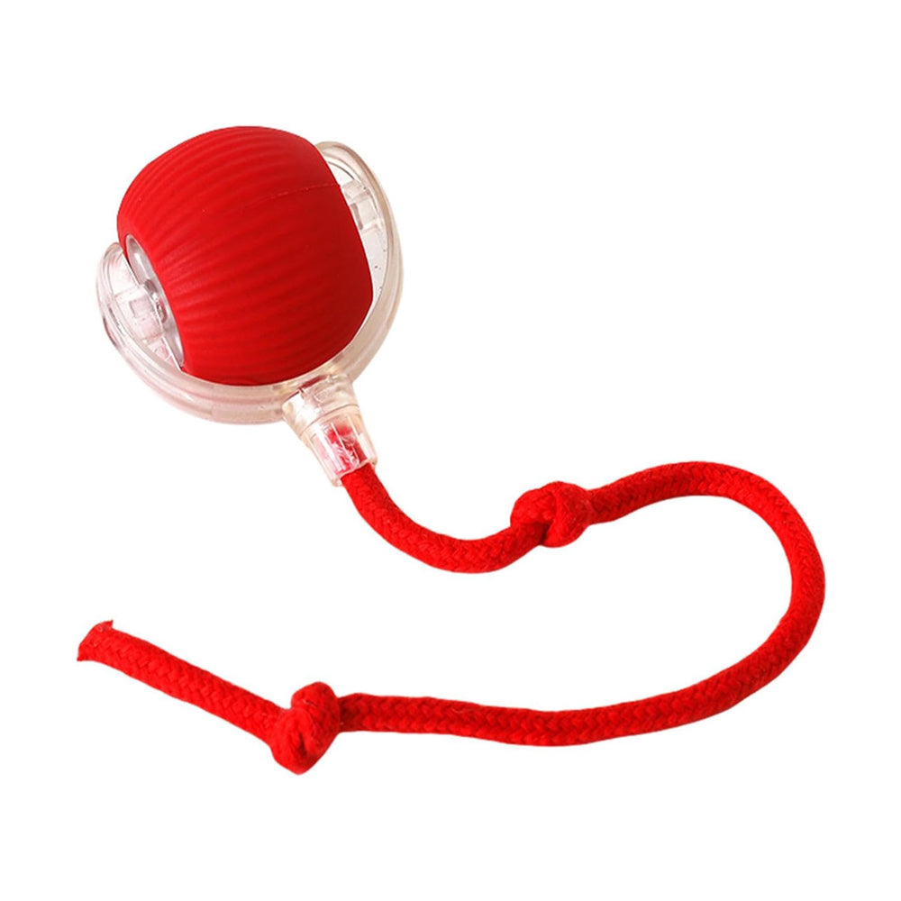 Self-Rolling Interactive Pet Ball